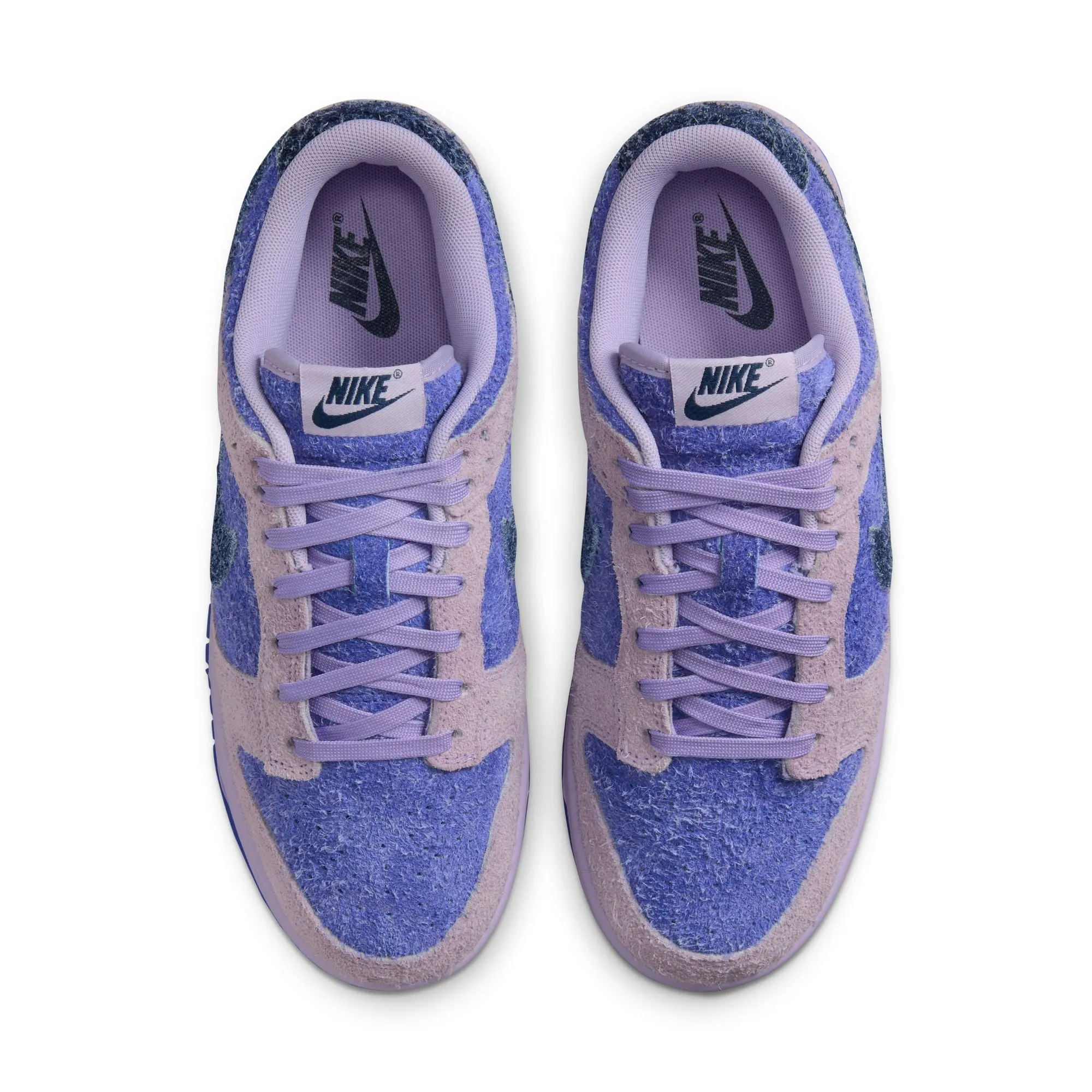 WMNS Nike Dunk Low Retro SE
