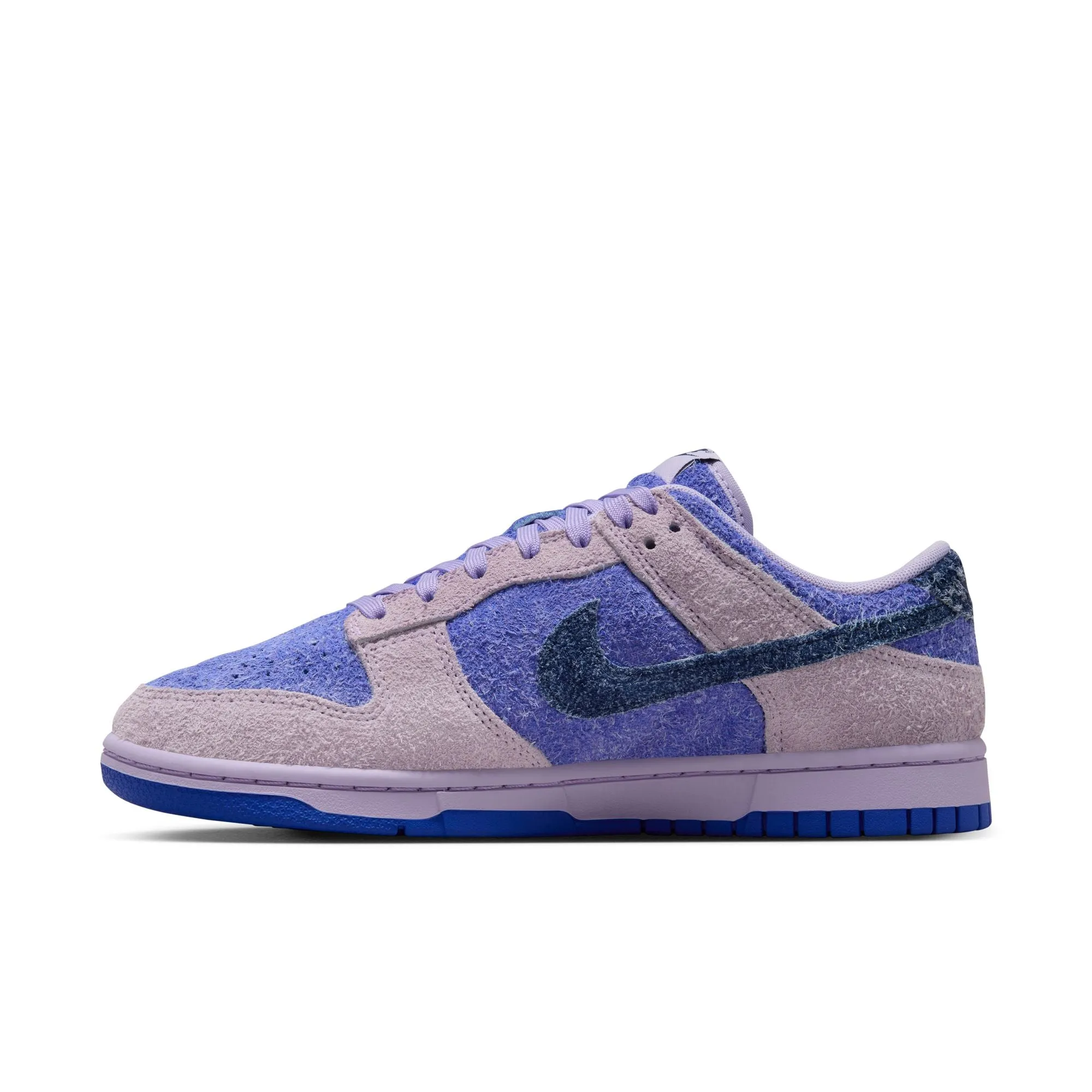 WMNS Nike Dunk Low Retro SE