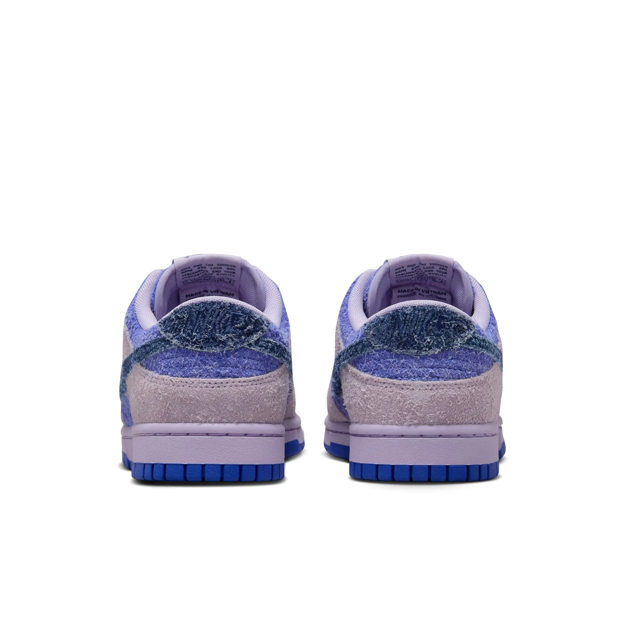 WMNS Nike Dunk Low Retro SE