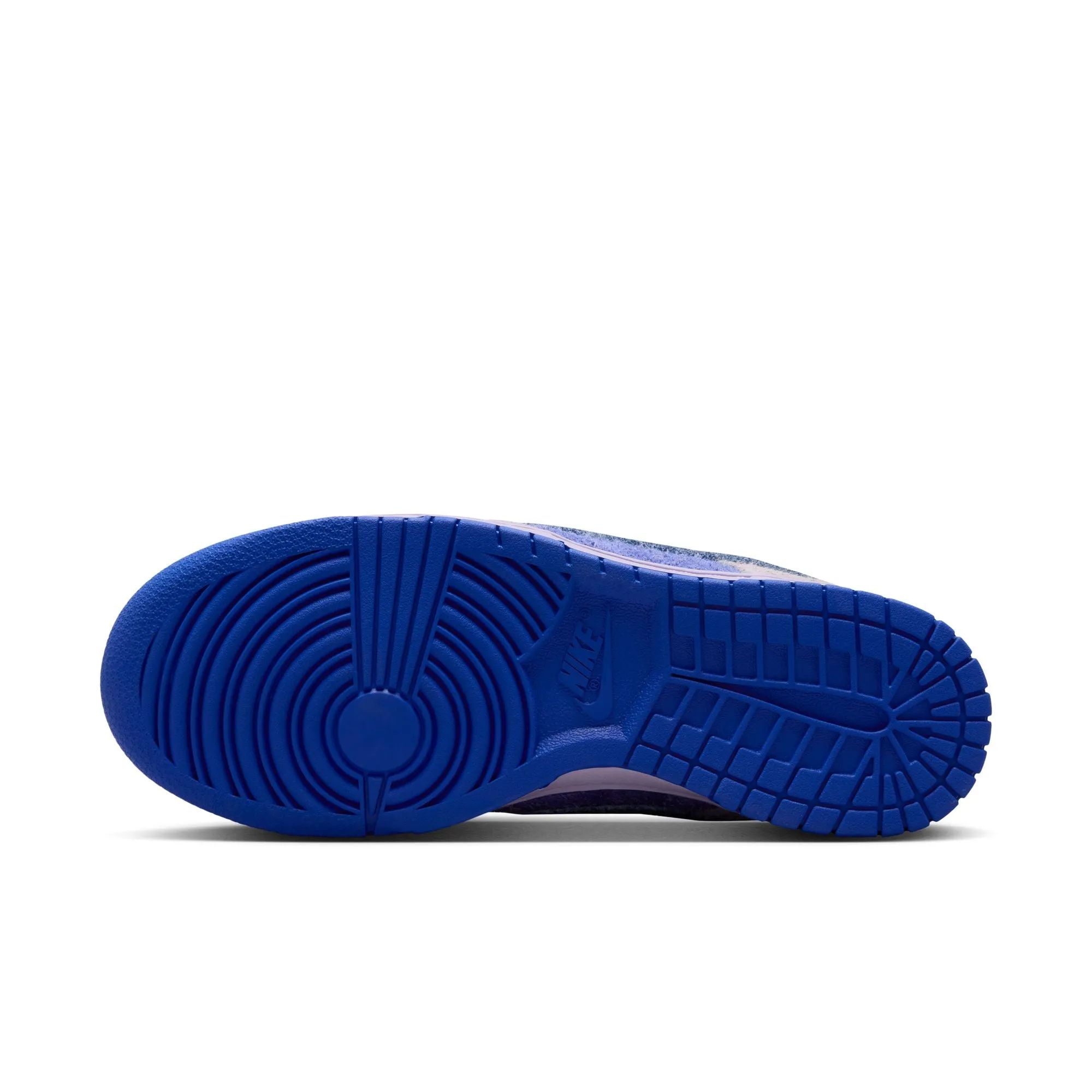 WMNS Nike Dunk Low Retro SE