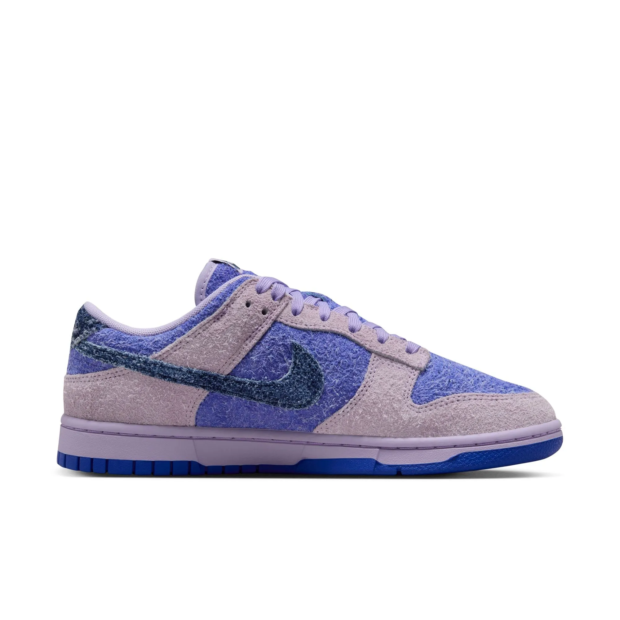 WMNS Nike Dunk Low Retro SE