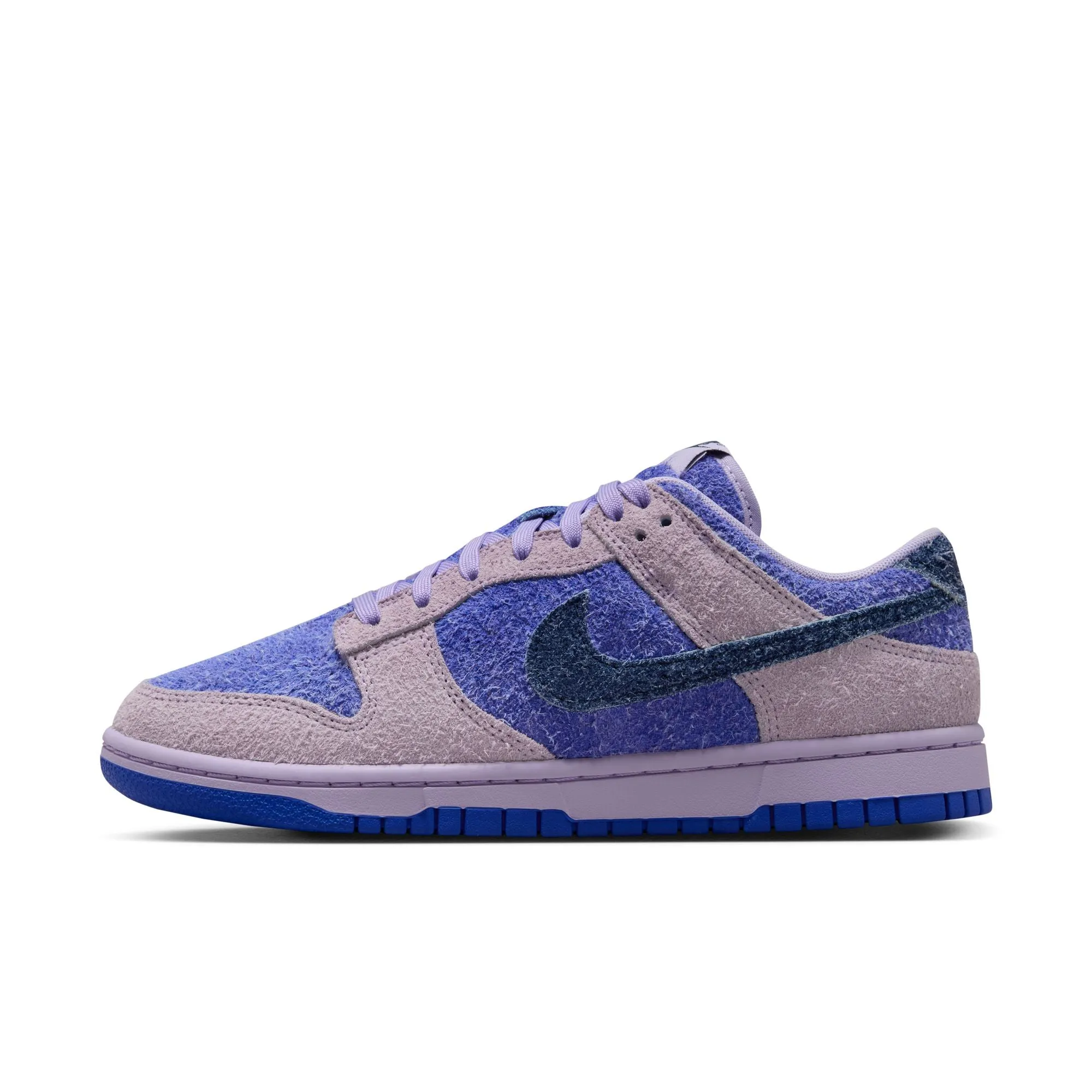 WMNS Nike Dunk Low Retro SE