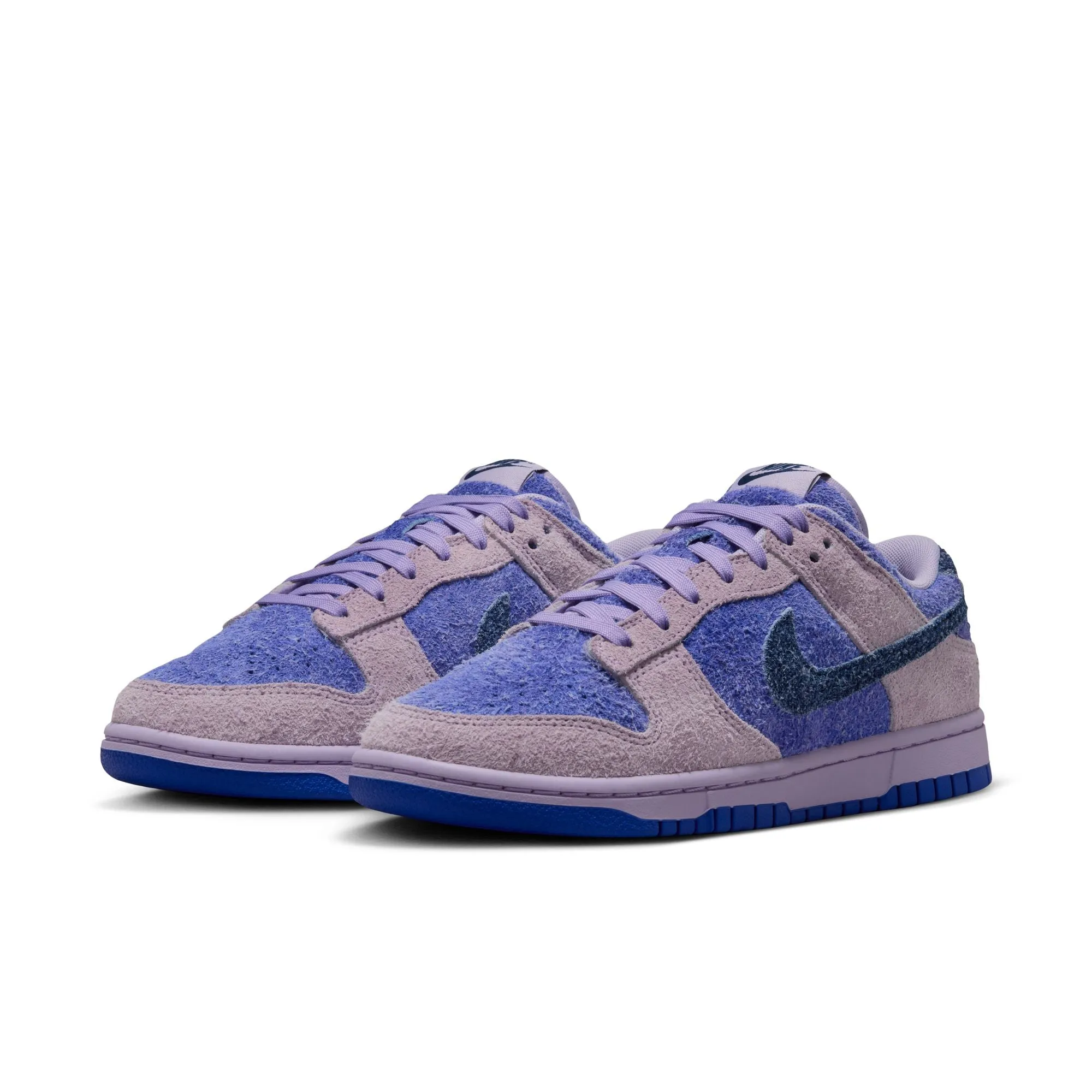 WMNS Nike Dunk Low Retro SE